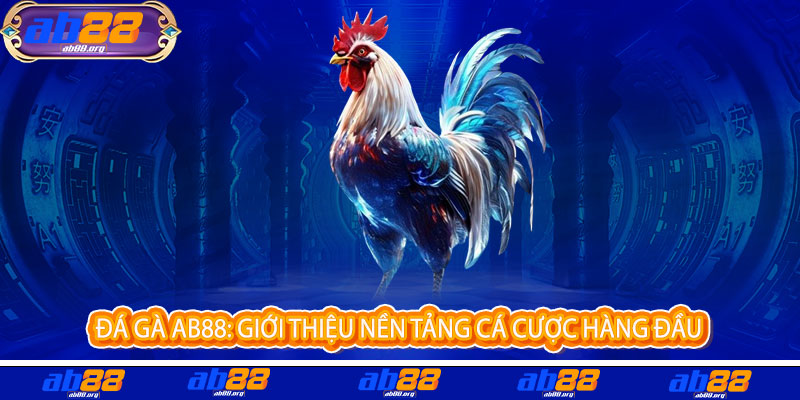 Đá Gà AB88 - Đỉnh cao đam mê, thắng lớn rực lửa 2 Đá Gà AB88: Giới thiệu nền tảng cá cược hàng đầu