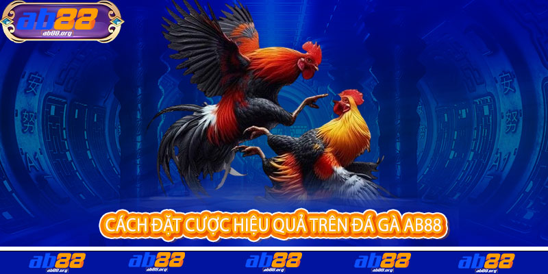Đá Gà AB88 - Đỉnh cao đam mê, thắng lớn rực lửa 3 Cách đặt cược hiệu quả trên Đá Gà AB88